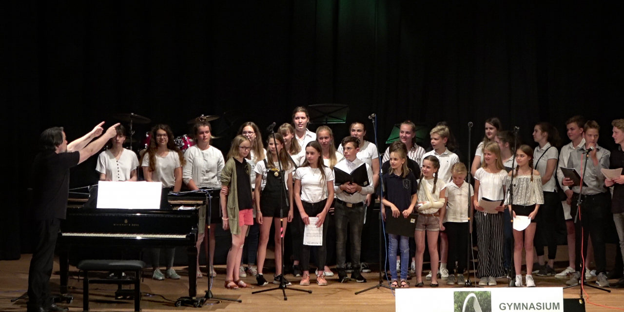 Impressionen vom Sommerkonzert am 1. Juli