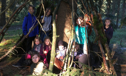 Sozialtraining in Bispingen
