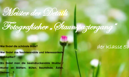Ein fotografischer Staunspaziergang